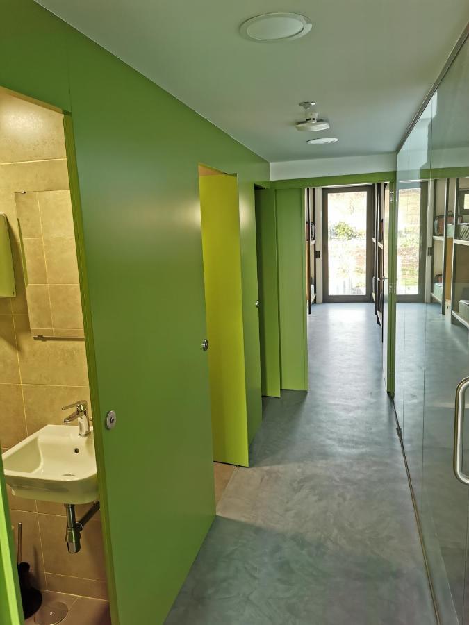 Bunk Bed Mixed Dormitory Room
